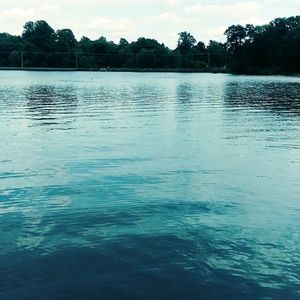 Meet your Posher, Annie